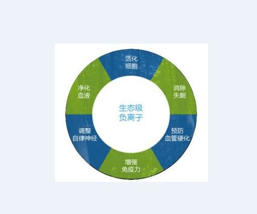 負(fù)氧離子