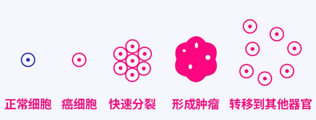 負(fù)氧離子