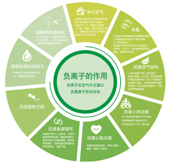 負(fù)氧離子