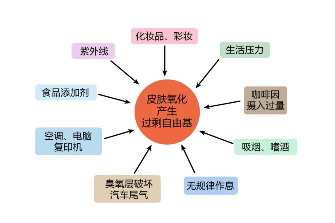 自由基與負(fù)氧離子