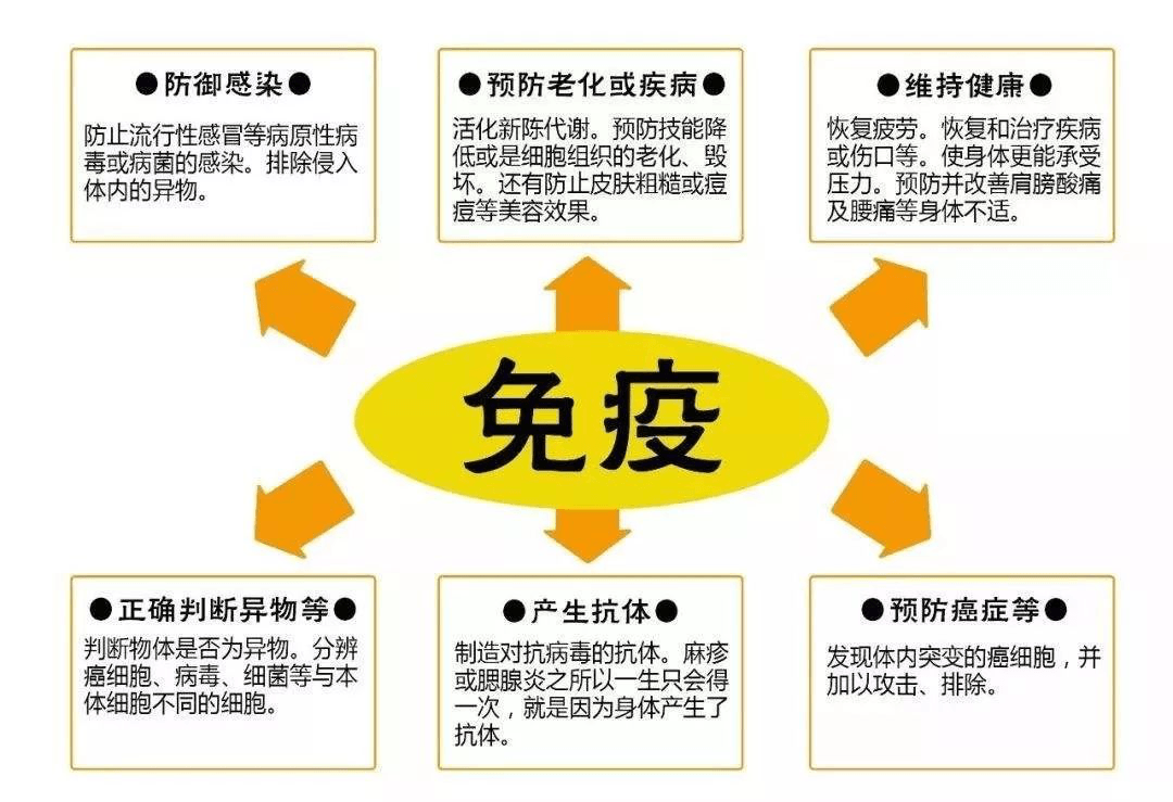 空氣負(fù)離子 免疫力
