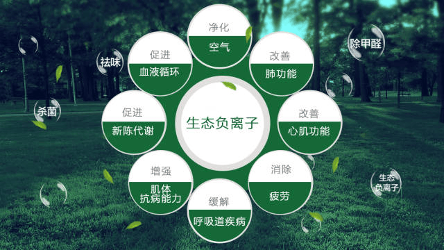  負(fù)離子療法治療失眠