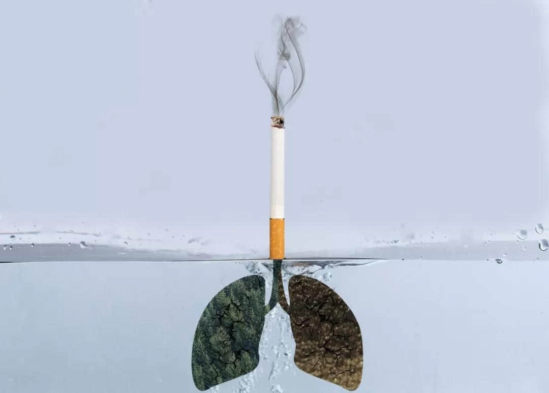 負氧離子助您遠離慢阻肺，健康呼吸每一天