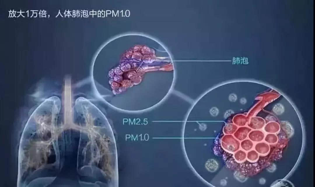 在空氣污染嚴(yán)重的今天，健康生活還需要空氣負(fù)離子助力